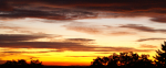 DSC09626_900.png