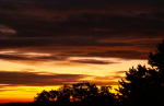 DSC09649_900.png