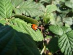 P1120988.jpg