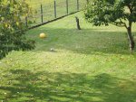 PA100095.jpg