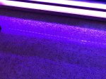 B308BCFD-3424-4F3B-BE55-52F8672BCBB9.jpg
