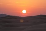 DSC_7511s.jpg