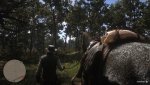 Red Dead Redemption 2_20191013231602.jpg