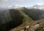 DSC04050.JPG