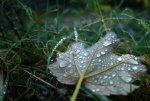 DSC03947.JPG