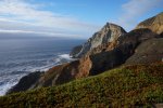 DSC02519.jpg