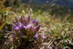 DSC04153.JPG