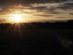PA160051.jpg