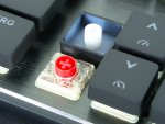 Cooler Master SK650 Switches.jpg