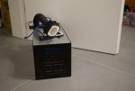 DSC00538.jpg