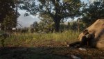 Spielstart Vulkan.jpg