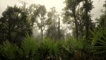 RDR2_2019_11_10_13_49_56_171.jpg
