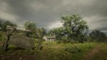 RDR2_2019_11_10_13_49_50_120.jpg