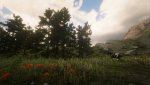 RDR2_2019_11_10_11_40_41_566.jpg