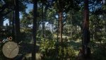 Red Dead Redemption 2_20191111051833.jpg