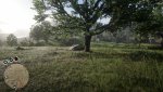 Red Dead Redemption 2_20191111053339.jpg