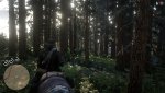 Red Dead Redemption 2_20191111224621.jpg