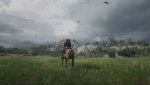 Red Dead Redemption 2_20181103103049.jpg