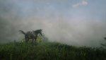 RDR2_2019_11_18_19_32_12_780.jpg