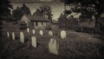 RDR2_2019_11_10_13_49_58_098.jpg