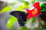 _DSC1094.jpg