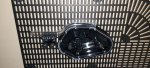 20191127_161951.jpg