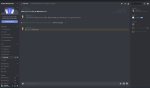 discord_unscharf.jpg