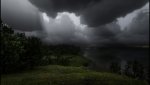 RDR2_2019_12_08_14_07_08_996.jpg