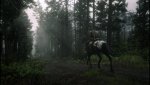 RDR2_2019_12_07_19_35_30_442.jpg
