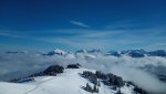 IMG_20190223_093347b.jpg
