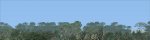 fsx 2011-07-02 14-02-42-12.jpg