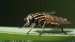 Desktop.JPG