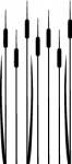 schilf_L_schwarz.png