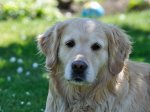 DSC_0004.jpg