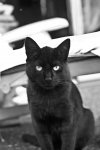 DSC_2446.jpg