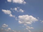DSC00019.jpg