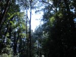 DSC00061.jpg