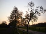 DSC01399.jpg