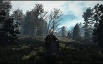 witcher3 2019-11-20 19-42-49.jpg