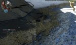 graka bug 2.jpg