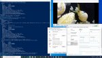 jellyfish_cuda_4k_60fps_68mb.jpg