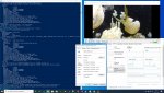 jellyfish_cuda_4k_60fps_42mb.jpg