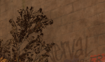 r24mpyB.png