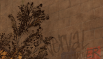 OAZ9eNH.png