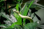 DSC_3165.jpg