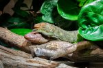 DSC_3176.jpg