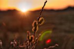 Sonnenuntergang Dünen.jpg