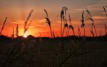 Sunset.jpg