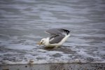 IMG_1891.jpg