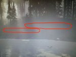 Streifenim Spiel.jpg